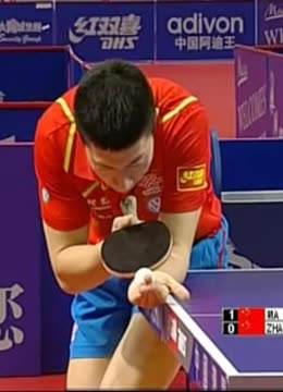 追冠球隊所 追冠球隊所