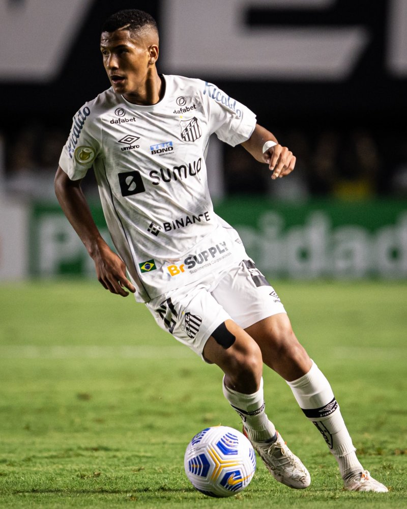 整支球队 整支球队