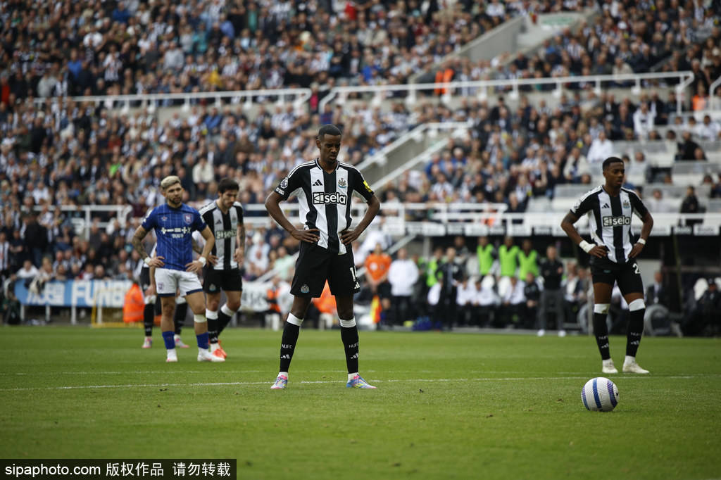 可能会成为 可能会成为